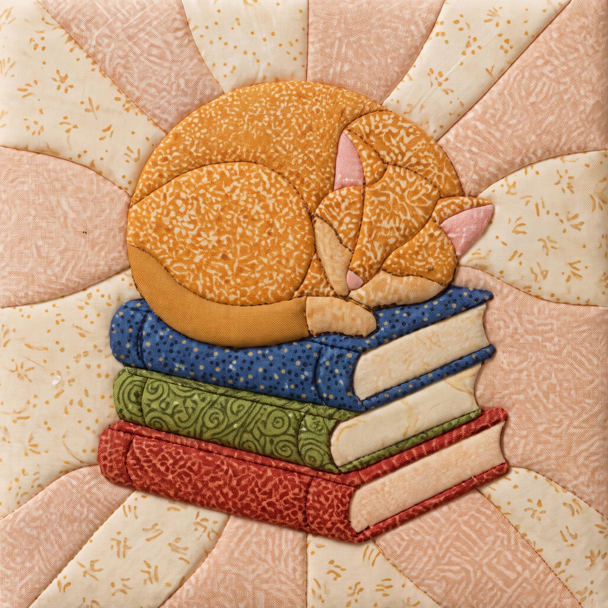 Cat on Books