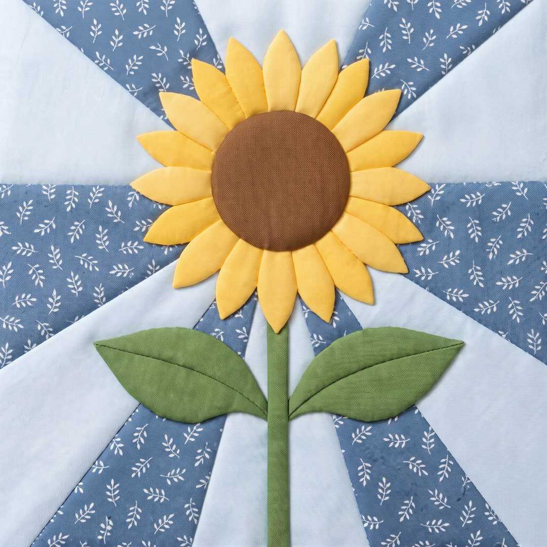 Sunflower Star
